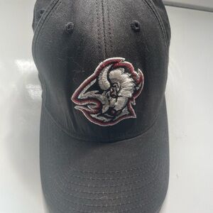 VTG NHL Buffalo Sabres Hockey hat